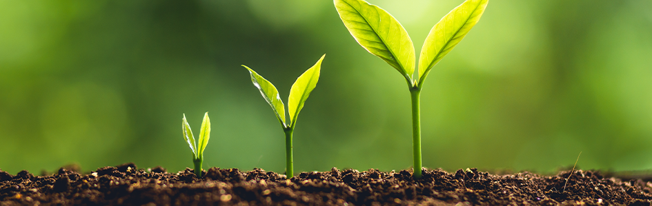 Antdata - Power BI Sustainability report