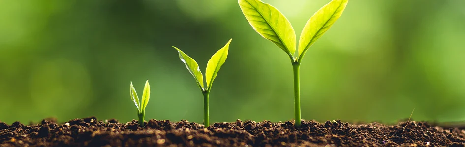 Power BI Sustainability report