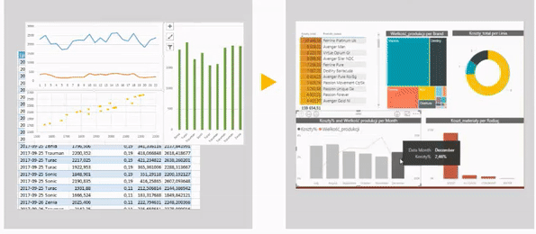 Antdata - Raport Power BI